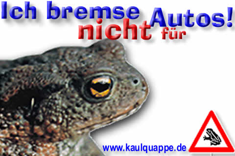 Jedes Jahr werden zigtausende Amphibien auf  Deutschlands Straßen und Feldwegen überfahren!